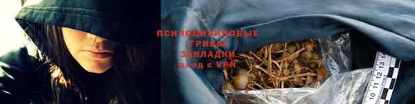 2c-b Абдулино