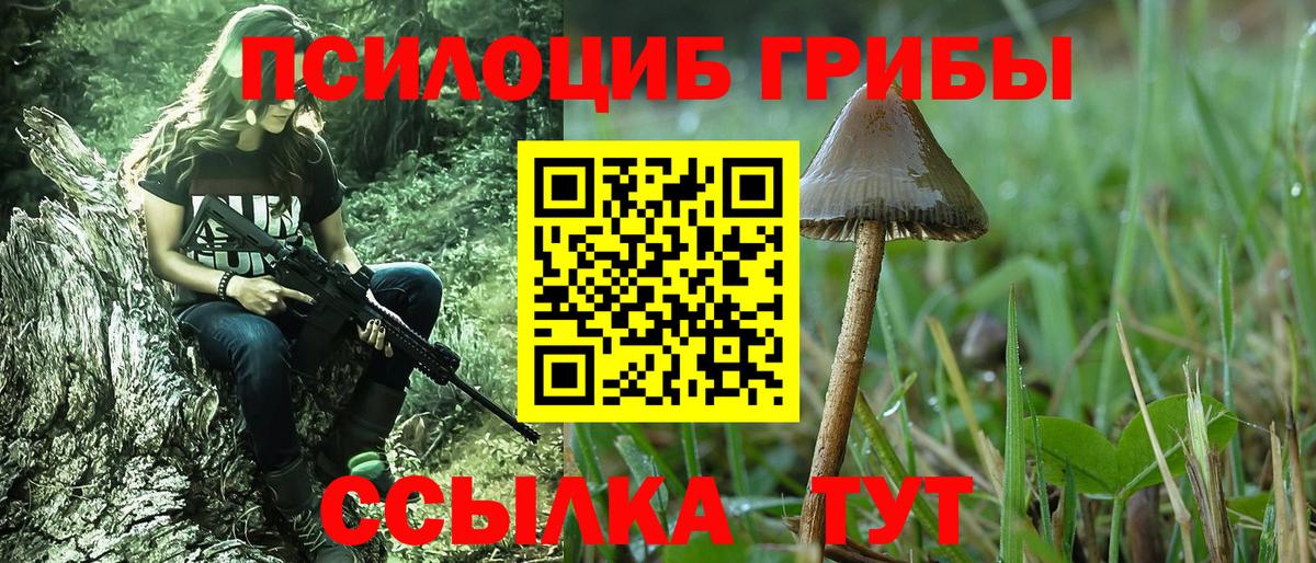 Владимир  Галлюциногенные грибы Cubensis  Псилоцибиновые грибы MAGIC MUSHROOMS  Вход с VPN 